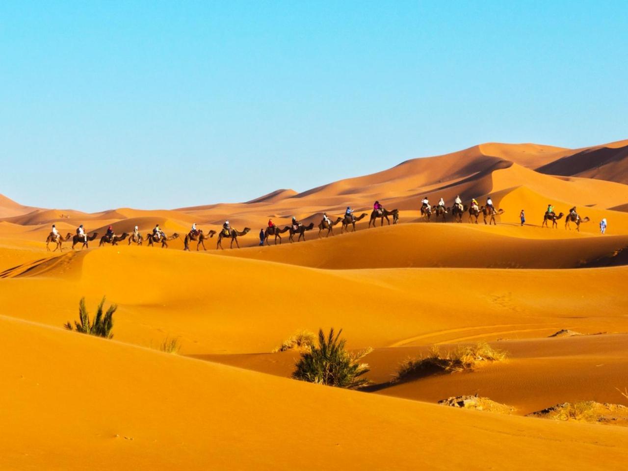 Desert Experience Glamping เมอร์ซูกา ภายนอก รูปภาพ
