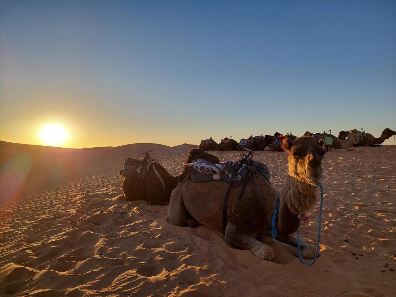 Desert Experience Glamping เมอร์ซูกา ภายนอก รูปภาพ